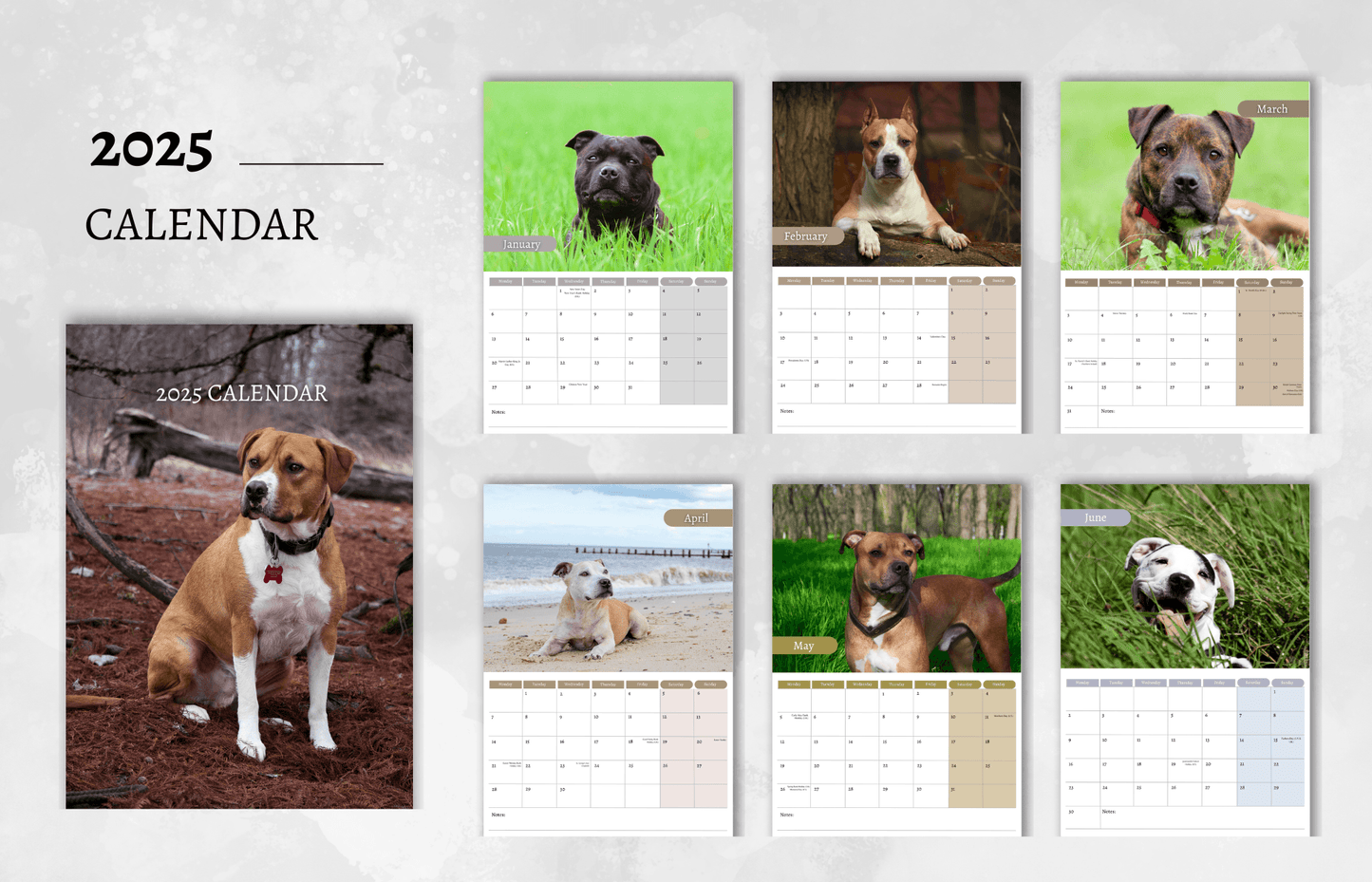 American Staffordshire Terrier Calendar 2025