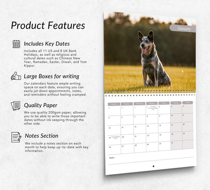 Australian Cattle Dog Calendar 2026