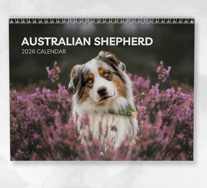 Australian Shepherd Calendar 2026