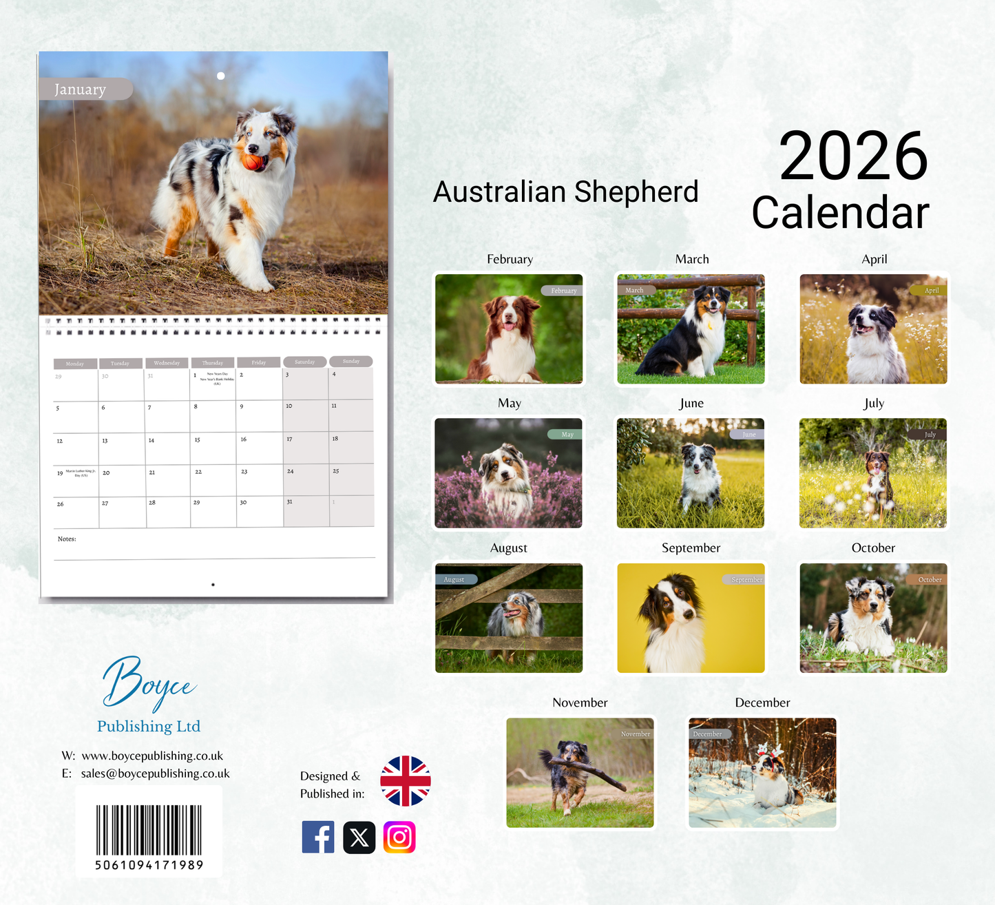 Australian Shepherd Calendar 2026