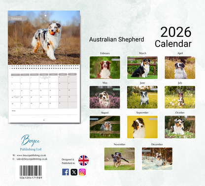 Australian Shepherd Calendar 2026