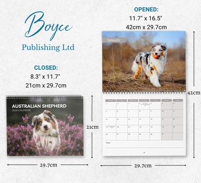 Australian Shepherd Calendar 2026