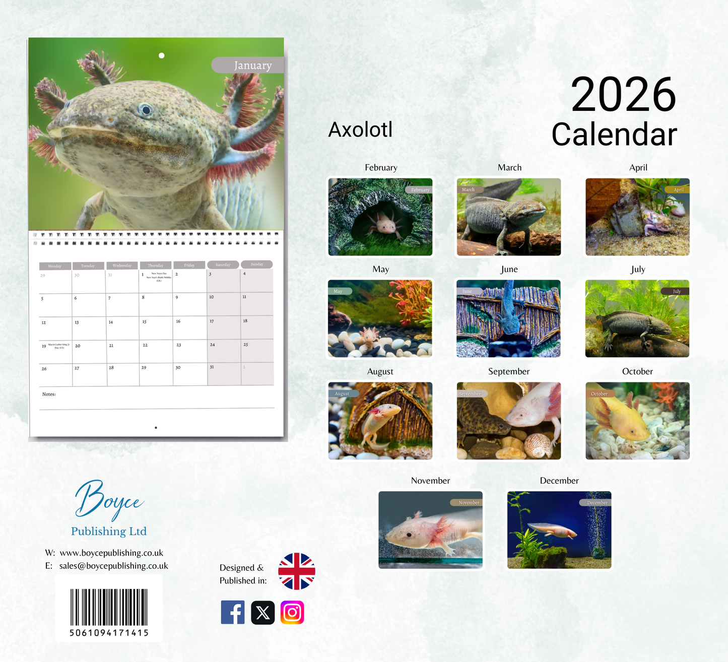 Axolotl Calendar 2026