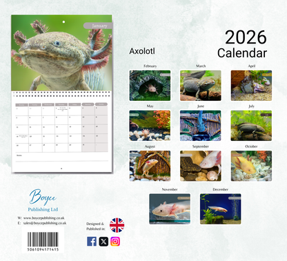 Axolotl Calendar 2026
