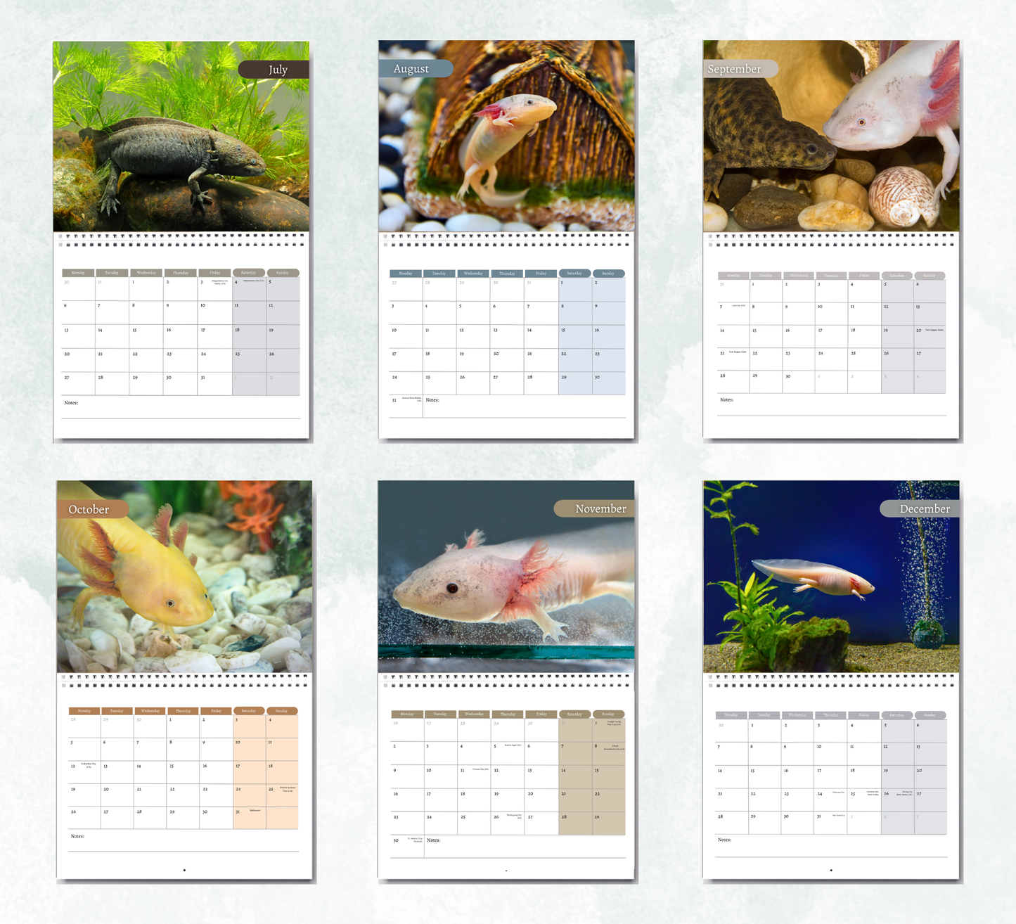 Axolotl Calendar 2026