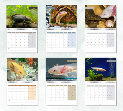 Axolotl Calendar 2026