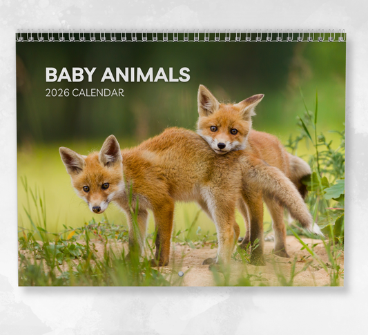 Baby Animals Calendar 2026