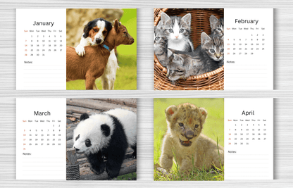 Baby Animals Desk Calendar 2025