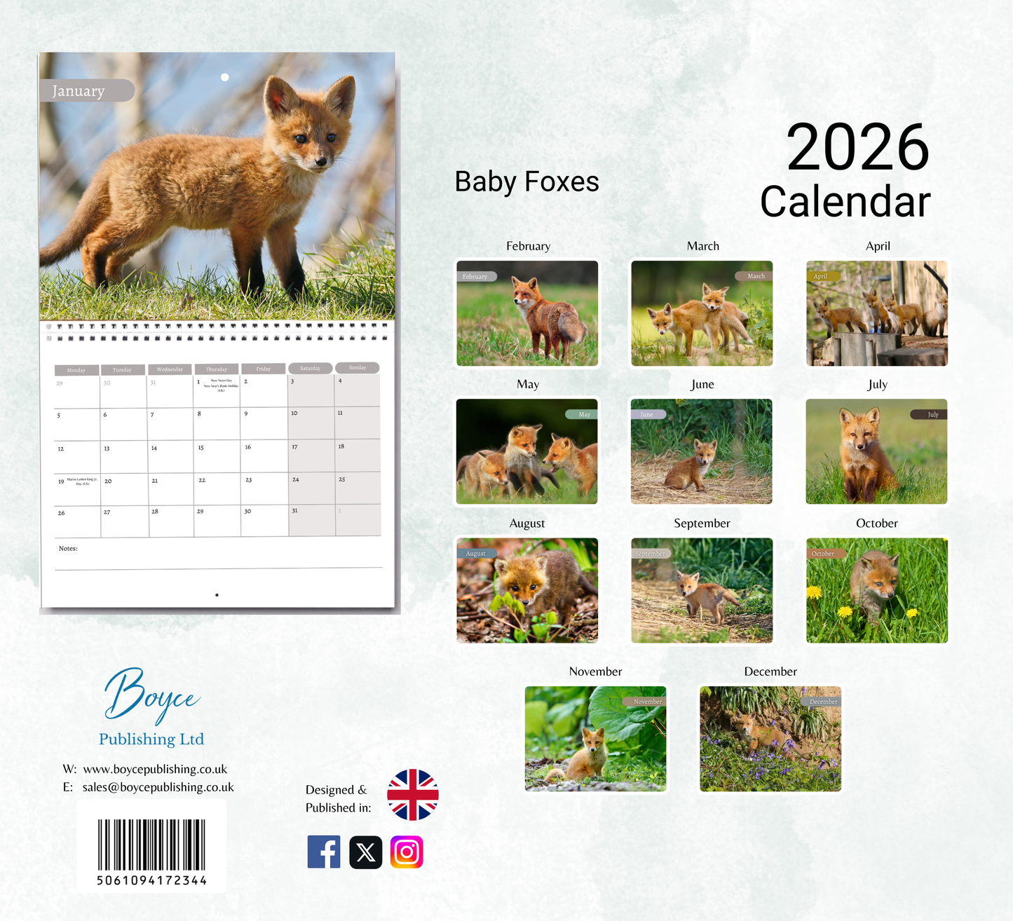 Baby Foxes Calendar 2026