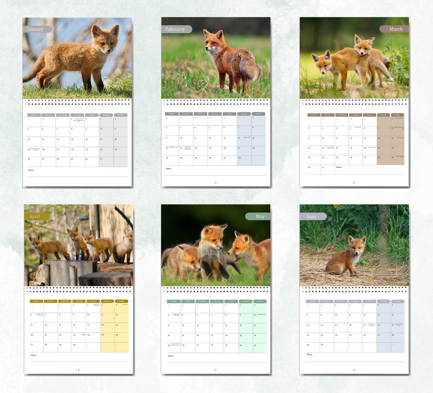 Baby Foxes Calendar 2026