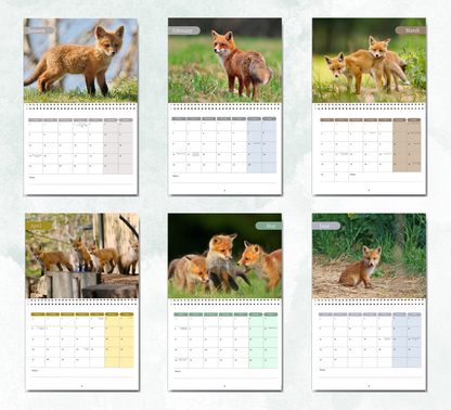 Baby Foxes Calendar 2026