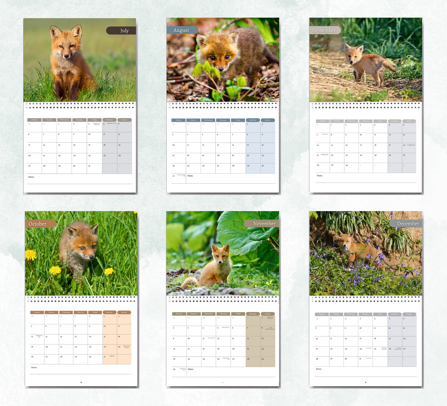 Baby Foxes Calendar 2026