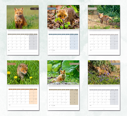 Baby Foxes Calendar 2026