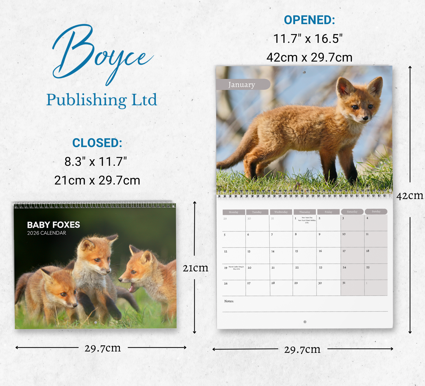 Baby Foxes Calendar 2026
