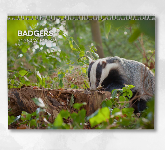 Badger Calendar 2026