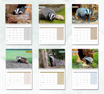 Badger Calendar 2026