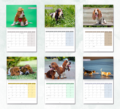 Basset Hound Calendar 2026