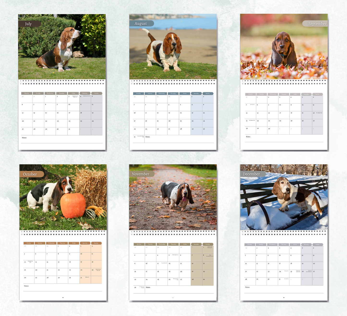 Basset Hound Calendar 2026