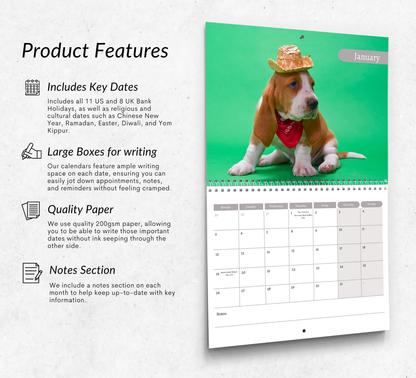 Basset Hound Calendar 2026