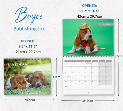 Basset Hound Calendar 2026