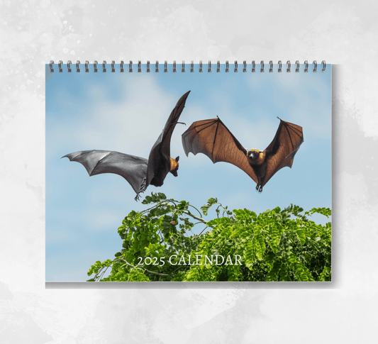 2025 Bat calendar featuring two bats flying over a tree with their wings out facing each other.