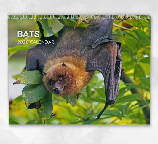 Bat Calendar 2026