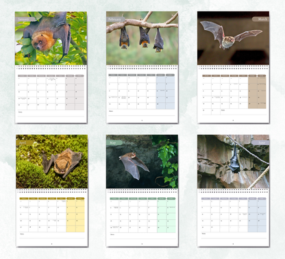 Bat Calendar 2026