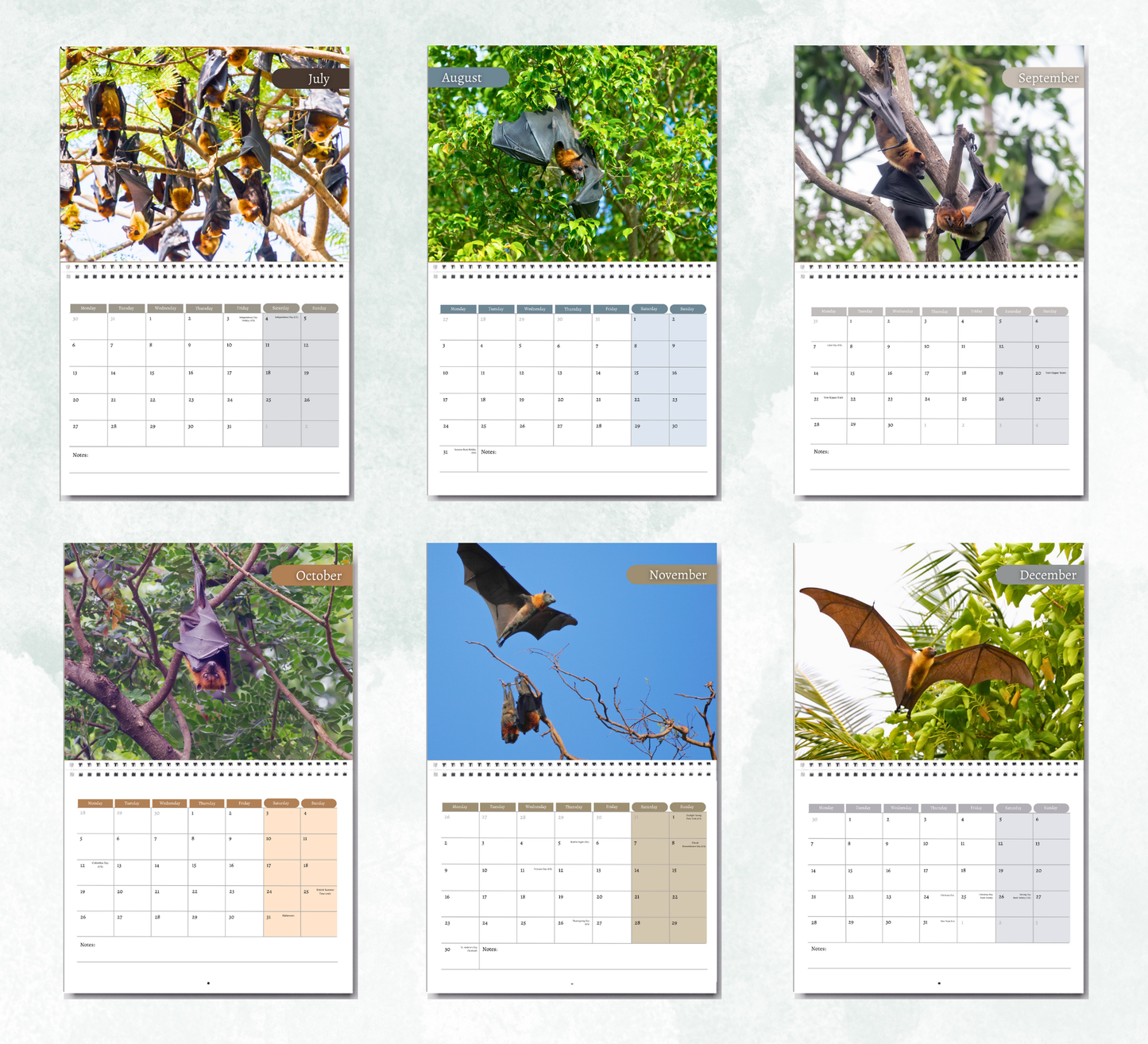 Bat Calendar 2026