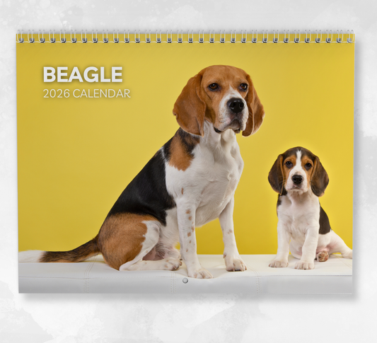 Beagle Calendar 2026