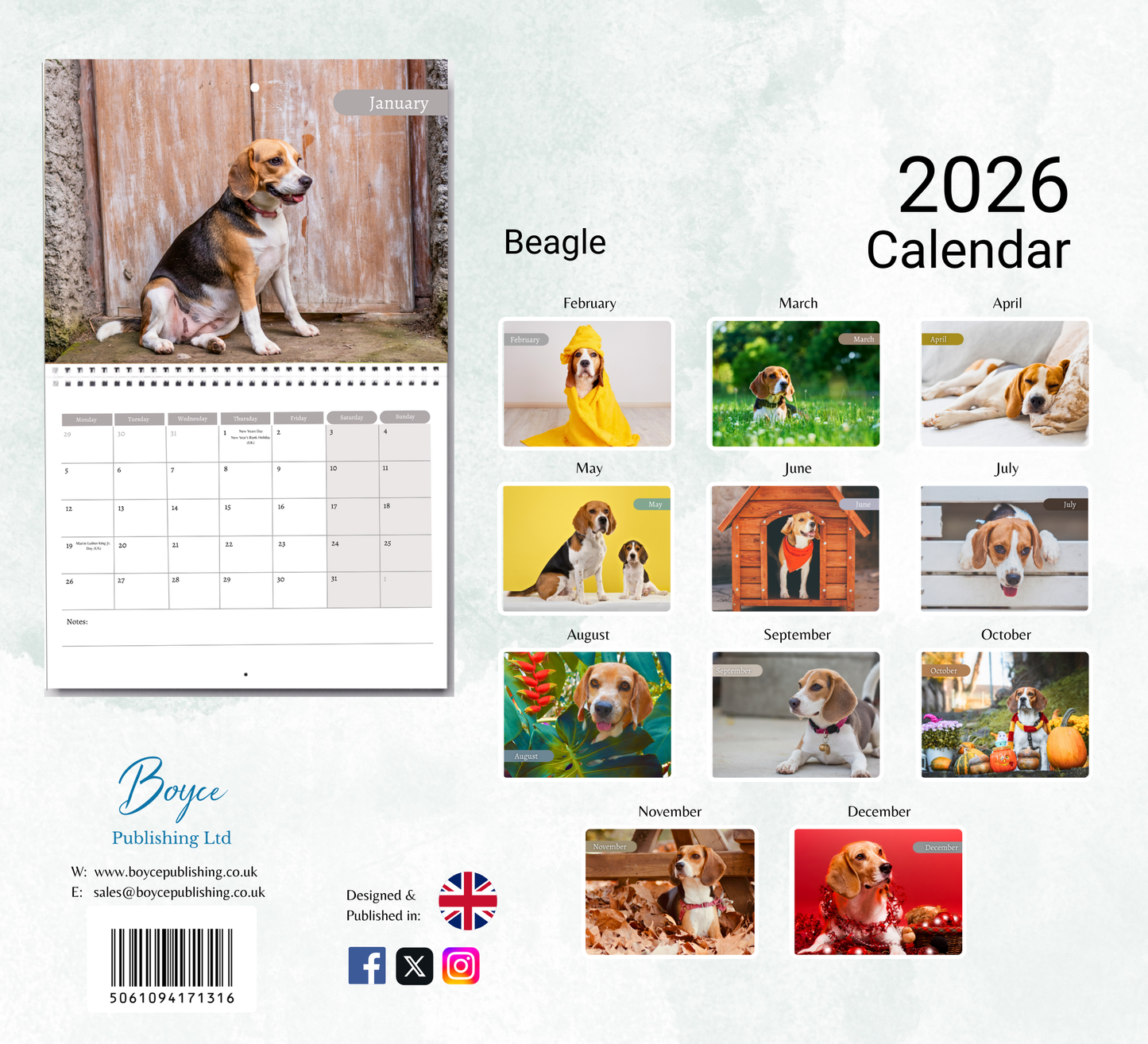 Beagle Calendar 2026