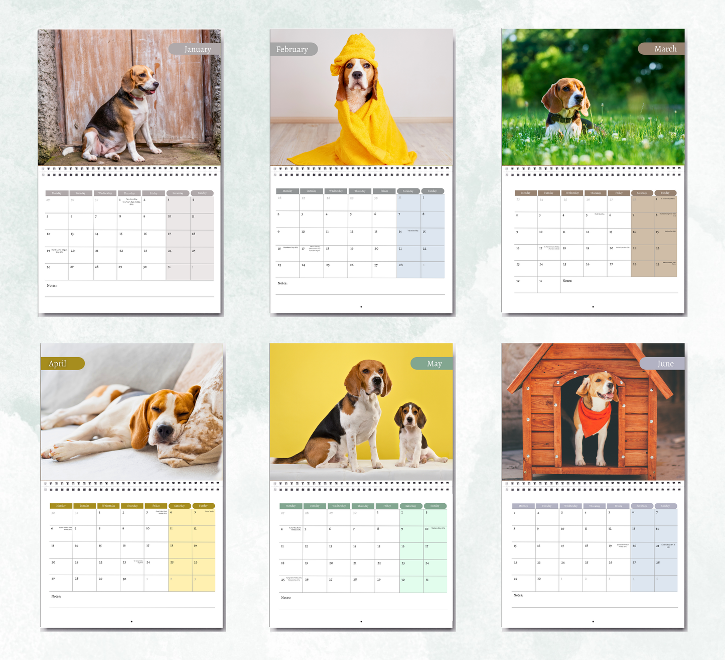 Beagle Calendar 2026