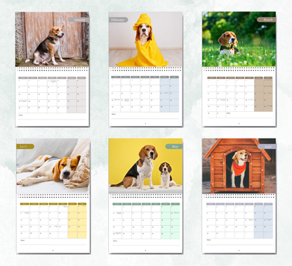 Beagle Calendar 2026