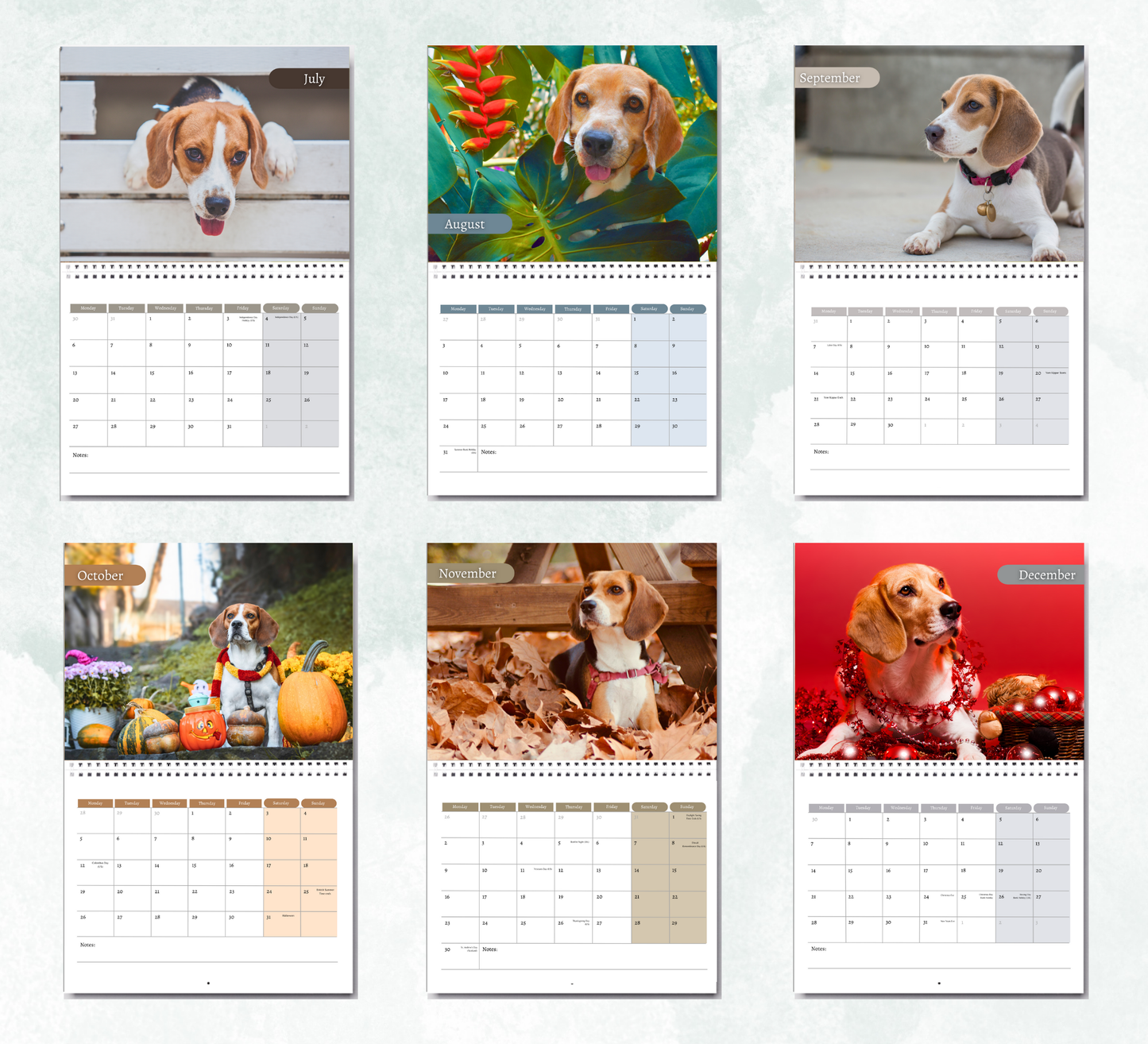 Beagle Calendar 2026