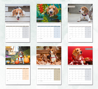 Beagle Calendar 2026