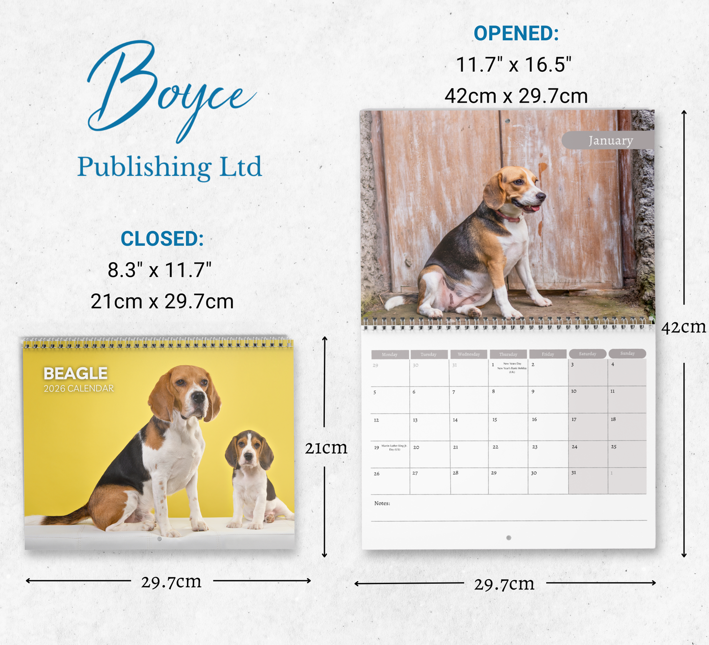 Beagle Calendar 2026