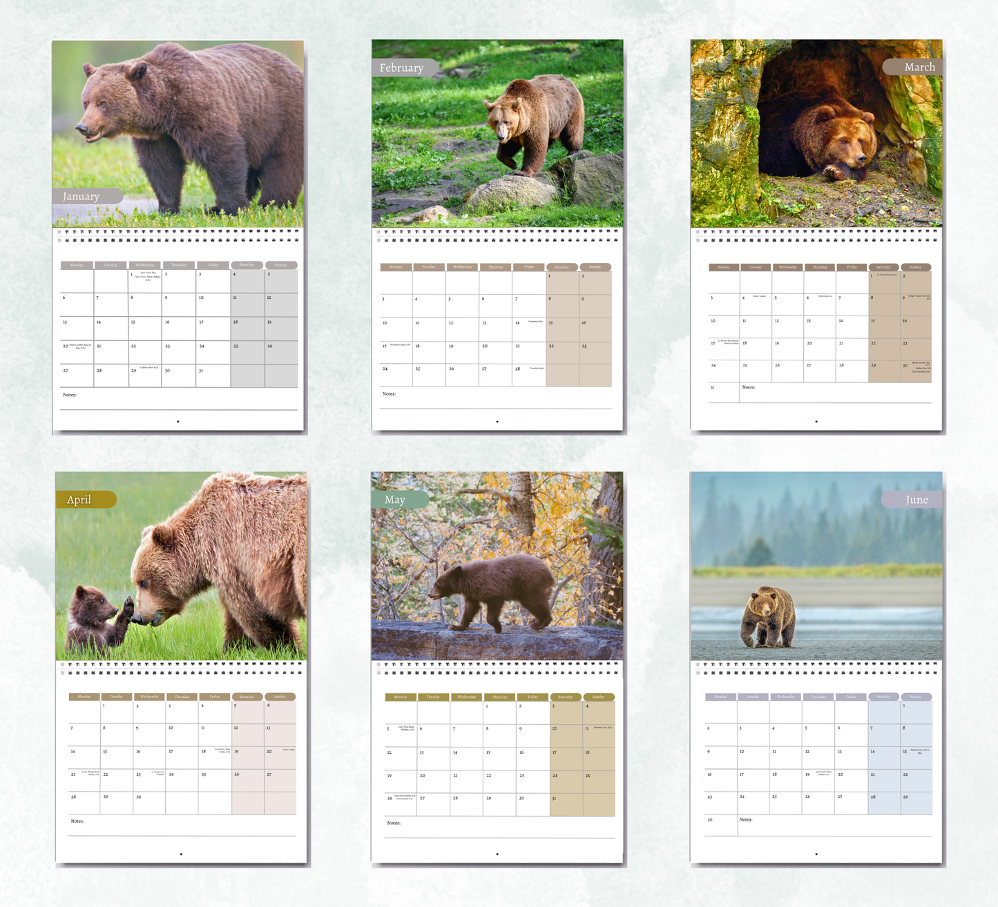 Bear Calendar 2026