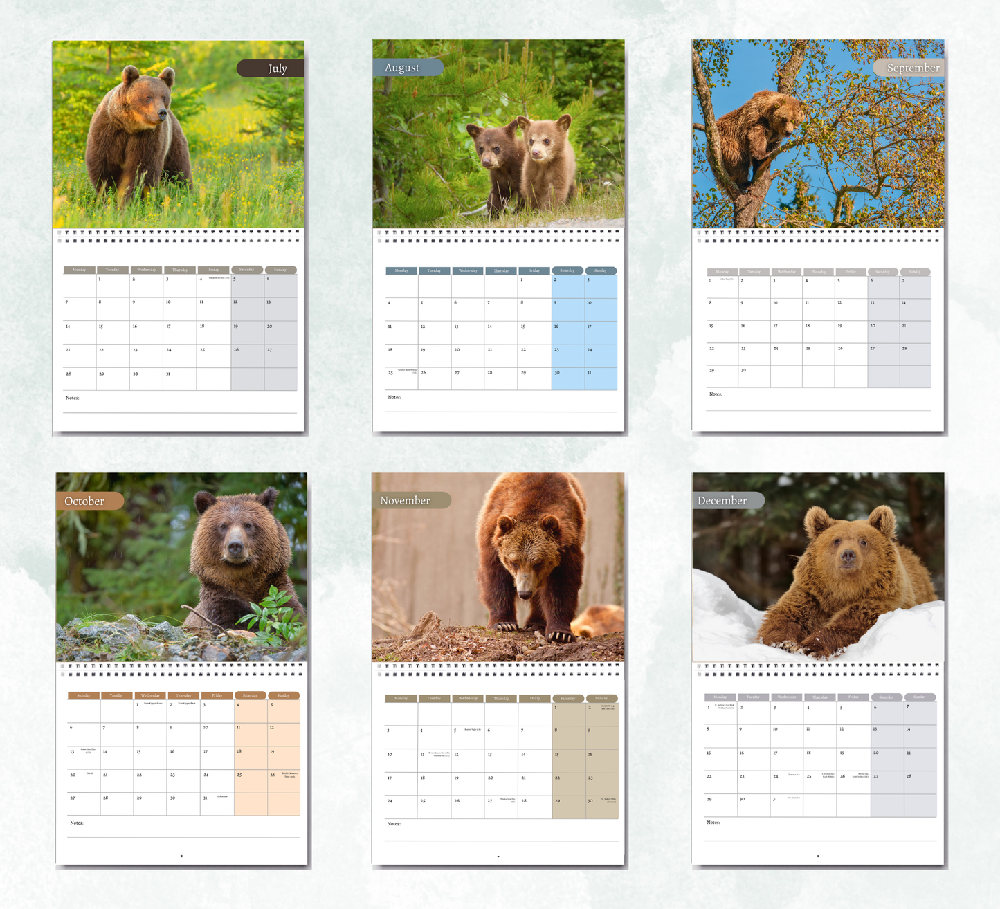 Bear Calendar 2026