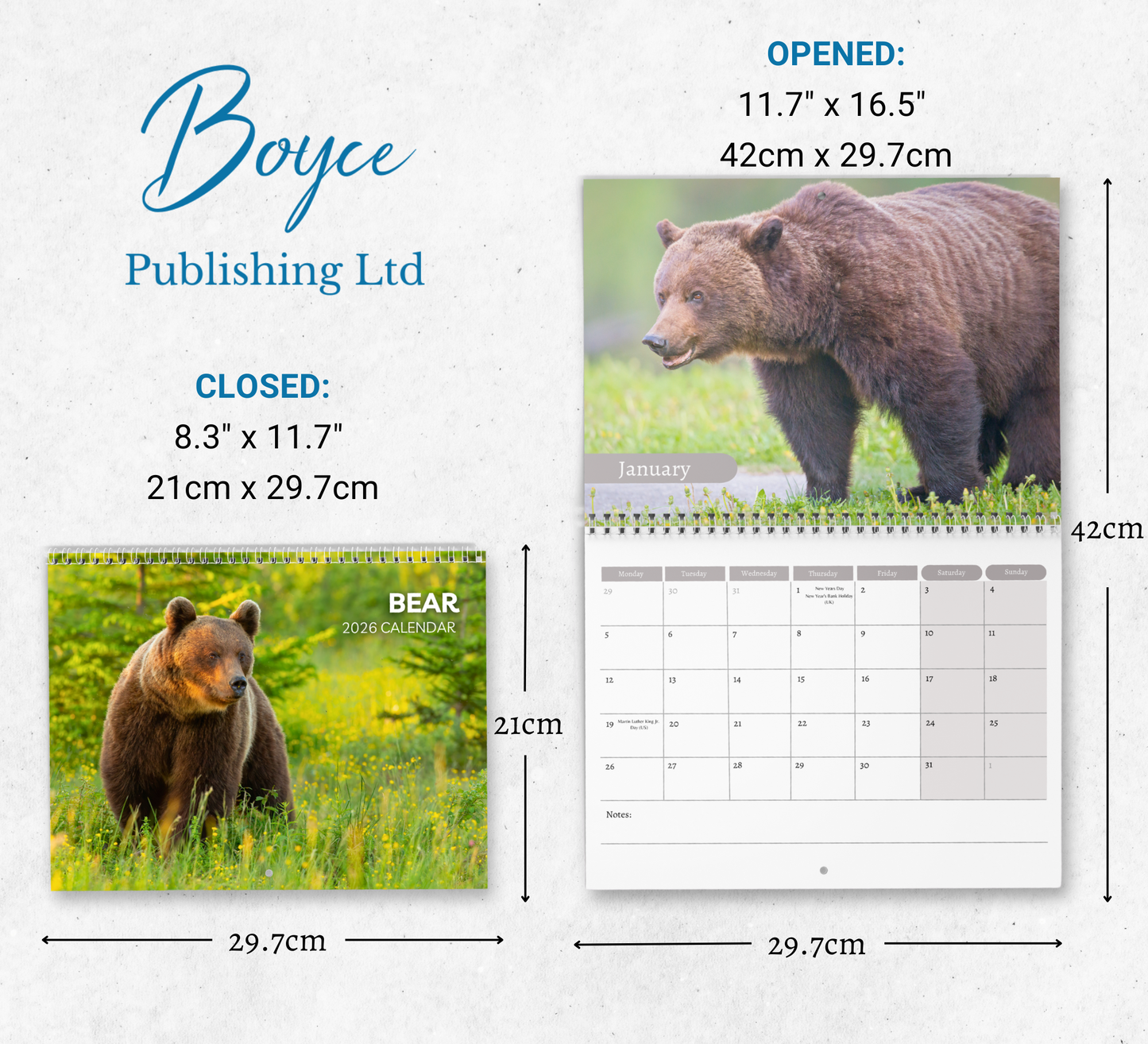 Bear Calendar 2026