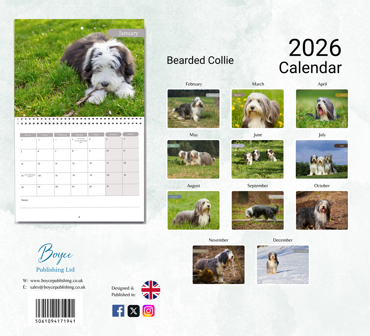 Bearded Collie Calendar 2026