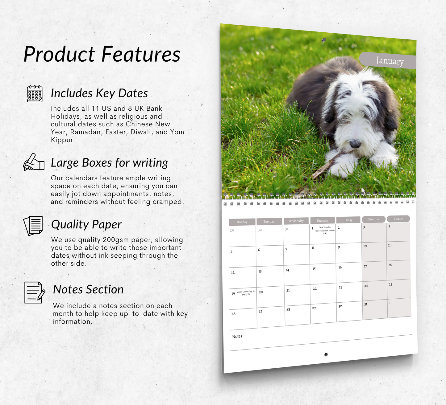Bearded Collie Calendar 2026