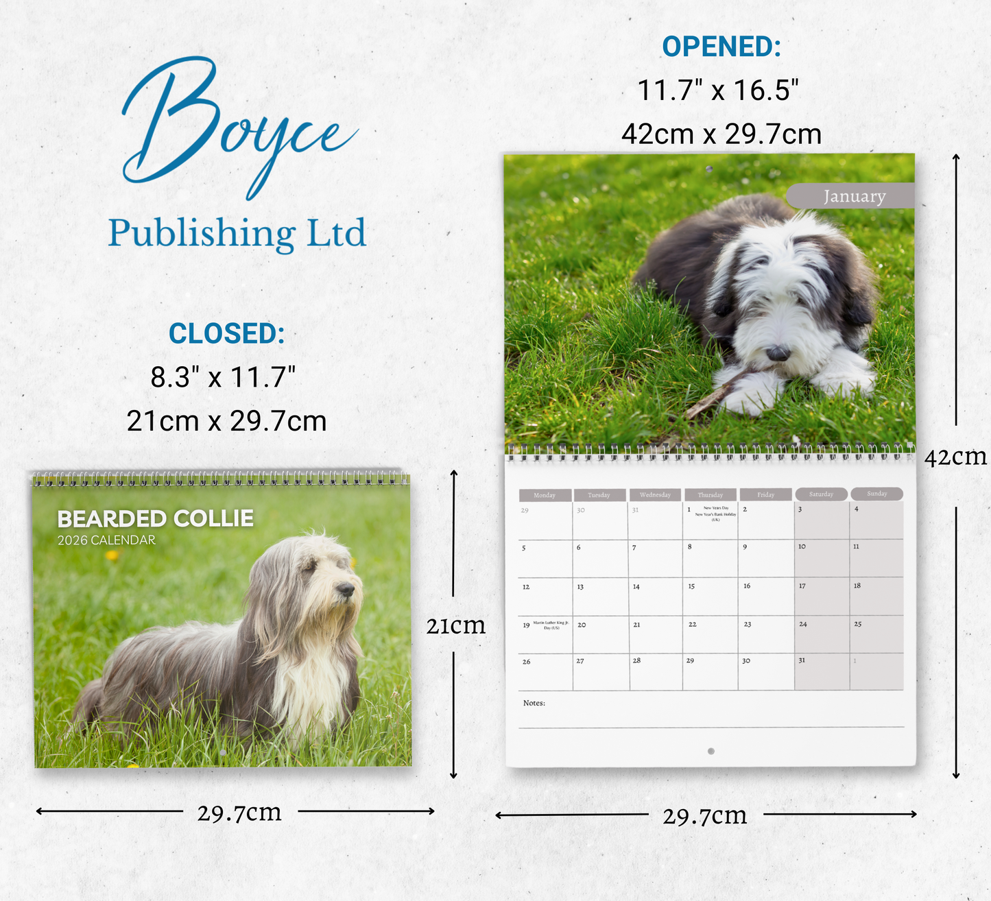 Bearded Collie Calendar 2026