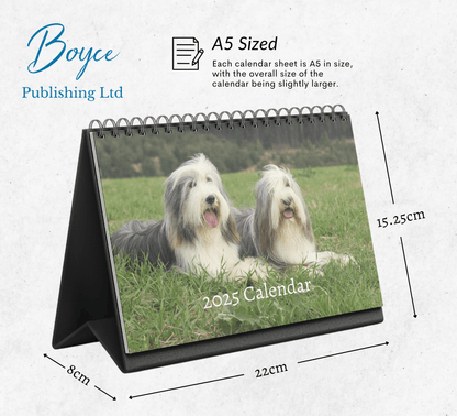 Bearded Collie Desk Calendar 2025