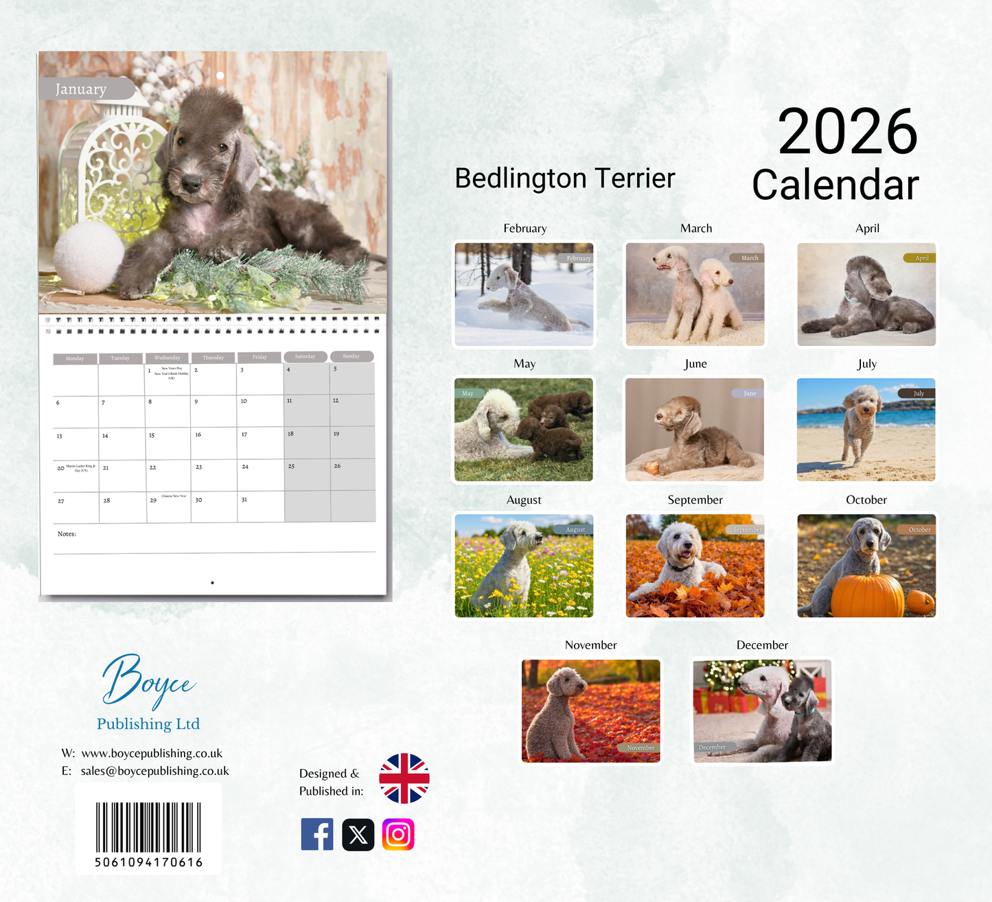 Bedlington Terrier Calendar 2026
