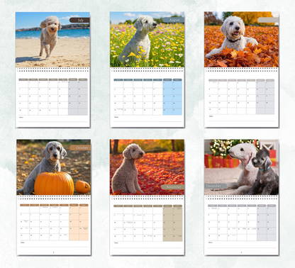 Bedlington Terrier Calendar 2026