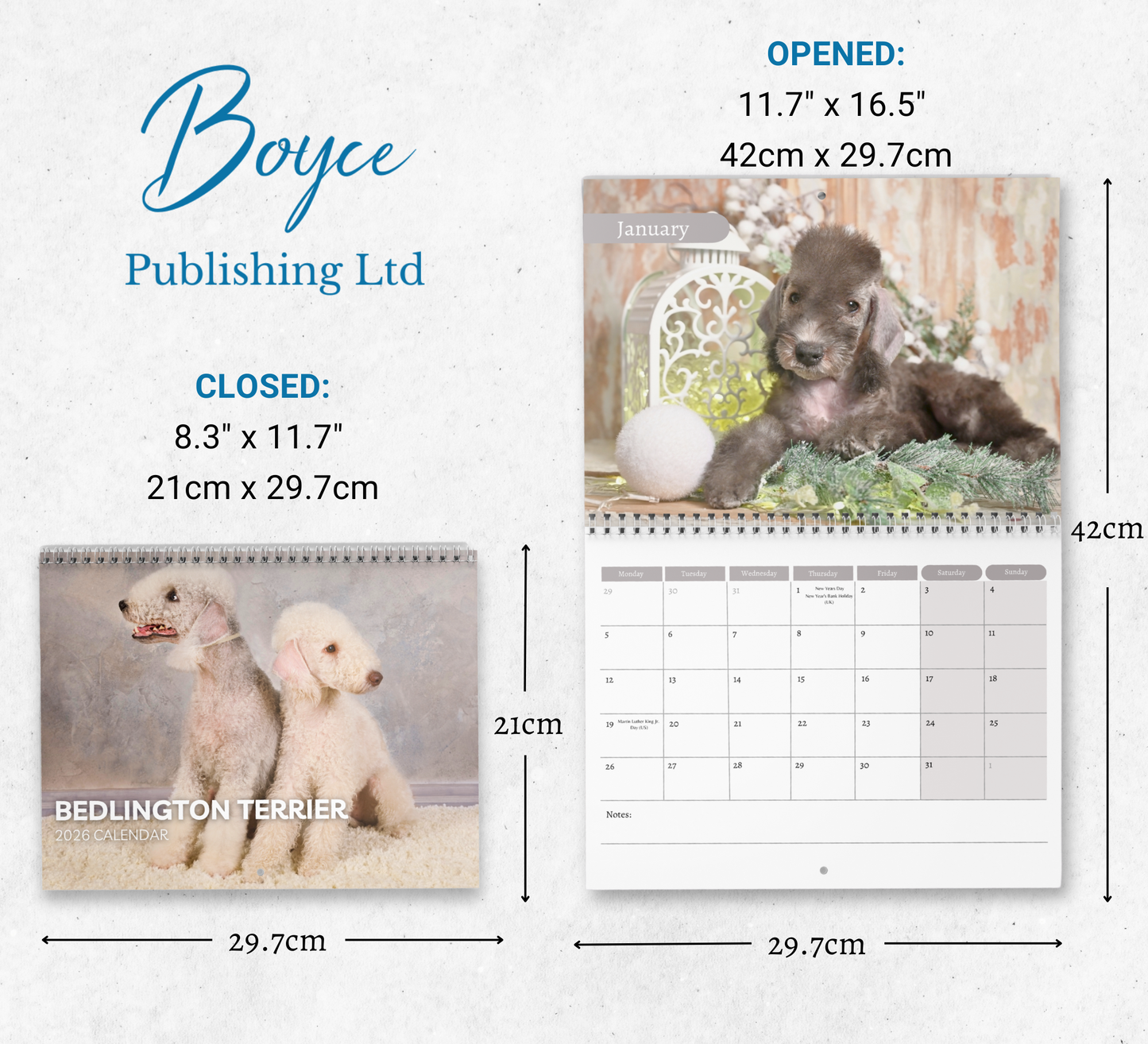 Bedlington Terrier Calendar 2026