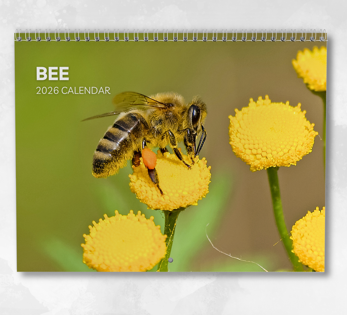 Bee Calendar 2026