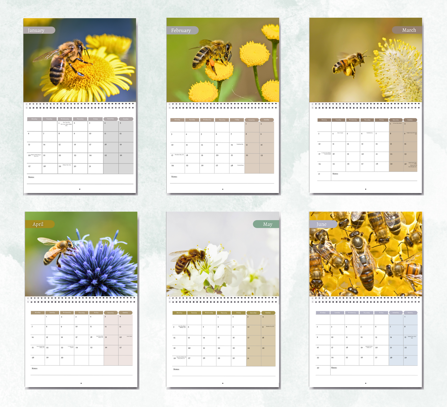 Bee Calendar 2026