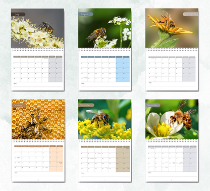 Bee Calendar 2026