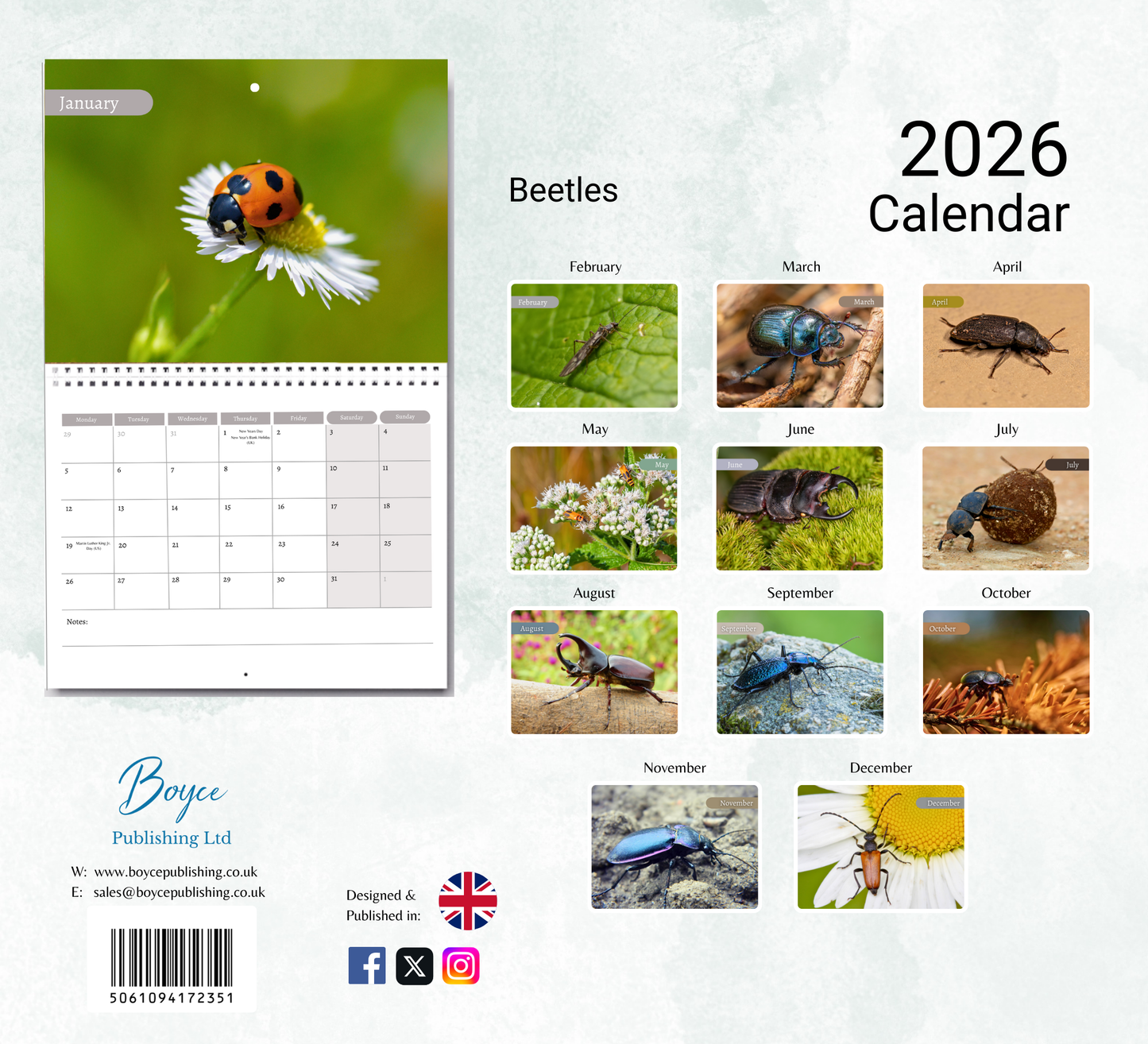 Beetles Calendar 2026