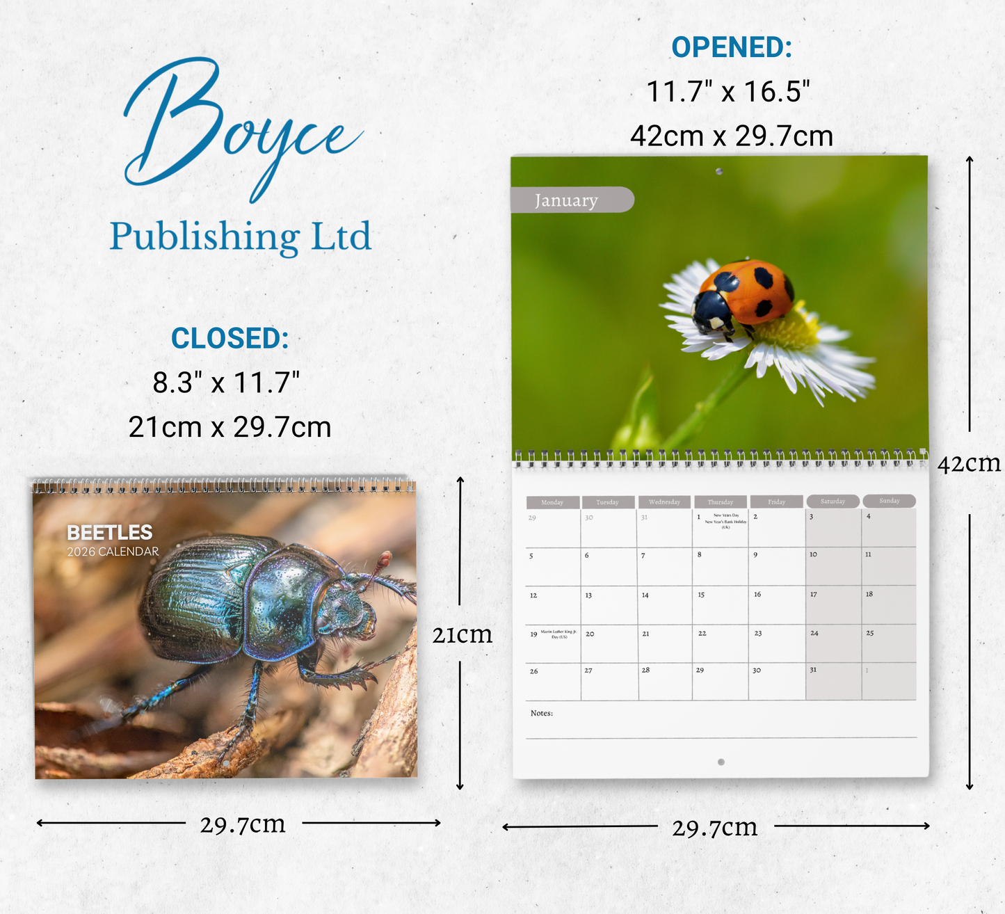 Beetles Calendar 2026